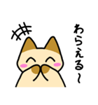 もちゆるねこあつめ（個別スタンプ：11）