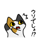 もちゆるねこあつめ（個別スタンプ：12）