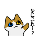 もちゆるねこあつめ（個別スタンプ：14）