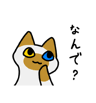 もちゆるねこあつめ（個別スタンプ：16）