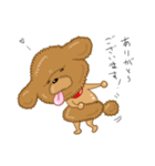 プードルすたんぷ（個別スタンプ：2）