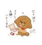 プードルすたんぷ（個別スタンプ：3）