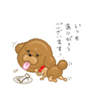プードルすたんぷ（個別スタンプ：8）