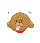 プードルすたんぷ（個別スタンプ：12）