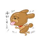 プードルすたんぷ（個別スタンプ：13）