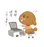 プードルすたんぷ（個別スタンプ：14）