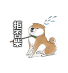 柴犬の日常スタンプ Shibainu life stamp（個別スタンプ：5）