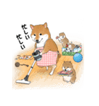 柴犬の日常スタンプ Shibainu life stamp（個別スタンプ：13）