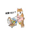 柴犬の日常スタンプ Shibainu life stamp（個別スタンプ：14）