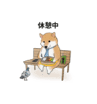 柴犬の日常スタンプ Shibainu life stamp（個別スタンプ：17）