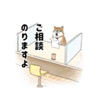 柴犬の日常スタンプ Shibainu life stamp（個別スタンプ：30）