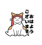 にゃんとは言わない猫達（個別スタンプ：3）