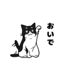 にゃんとは言わない猫達（個別スタンプ：7）