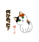 三毛猫ちゃんの日常会話（個別スタンプ：2）