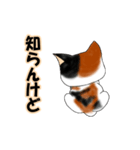 三毛猫ちゃんの日常会話（個別スタンプ：11）