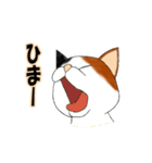 三毛猫ちゃんの日常会話（個別スタンプ：12）