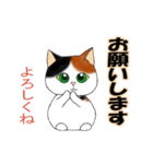 三毛猫ちゃんの日常会話（個別スタンプ：20）