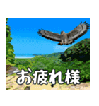 八重山諸島の野鳥大好き14。沖縄行きたい。（個別スタンプ：5）