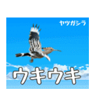 八重山諸島の野鳥大好き14。沖縄行きたい。（個別スタンプ：6）