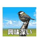 八重山諸島の野鳥大好き14。沖縄行きたい。（個別スタンプ：21）