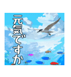 八重山諸島の野鳥大好き14。沖縄行きたい。（個別スタンプ：36）