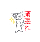 ボールペンイラスト 眼鏡のしま猫スタンプ（個別スタンプ：20）