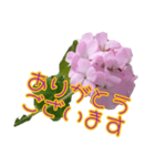 癒やしのDogとFlower（個別スタンプ：11）