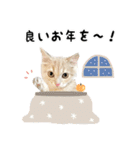 ロイくん♪2（個別スタンプ：37）