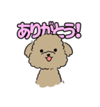 てん と つう（文字あり）（個別スタンプ：4）