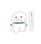 割と使い勝手の良さそうな犬のスタンプ（個別スタンプ：13）