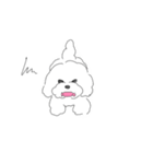 割と使い勝手の良さそうな犬のスタンプ（個別スタンプ：14）
