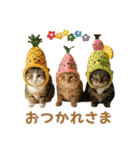 可愛い！フルーツキャット（個別スタンプ：1）