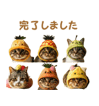 可愛い！フルーツキャット（個別スタンプ：21）