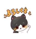 はちわれ猫のおそのさん（個別スタンプ：8）