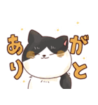 はちわれ猫のおそのさん（個別スタンプ：15）