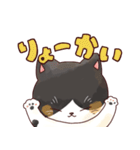 はちわれ猫のおそのさん（個別スタンプ：18）