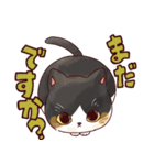 はちわれ猫のおそのさん（個別スタンプ：19）