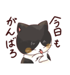 はちわれ猫のおそのさん（個別スタンプ：21）