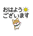 敬語スタンプ♡豆柴・柴犬【デカ文字】（個別スタンプ：5）