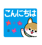 敬語スタンプ♡豆柴・柴犬【デカ文字】（個別スタンプ：7）