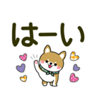 敬語スタンプ♡豆柴・柴犬【デカ文字】（個別スタンプ：9）