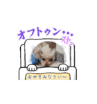 きなぽん動くStamp（個別スタンプ：9）