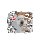 きなぽん動くStamp（個別スタンプ：14）