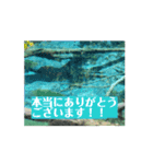 自然と一緒♡癒しの水辺や空スタンプ（個別スタンプ：14）