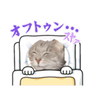 あくび猫みゃーちゃんの日常④（個別スタンプ：6）