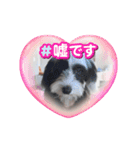 だめな犬くん（個別スタンプ：5）