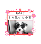 だめな犬くん（個別スタンプ：10）