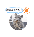 健造ファミリー ④（個別スタンプ：1）