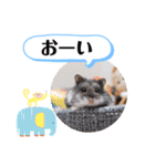 健造ファミリー ④（個別スタンプ：2）