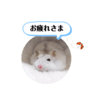 健造ファミリー ④（個別スタンプ：3）